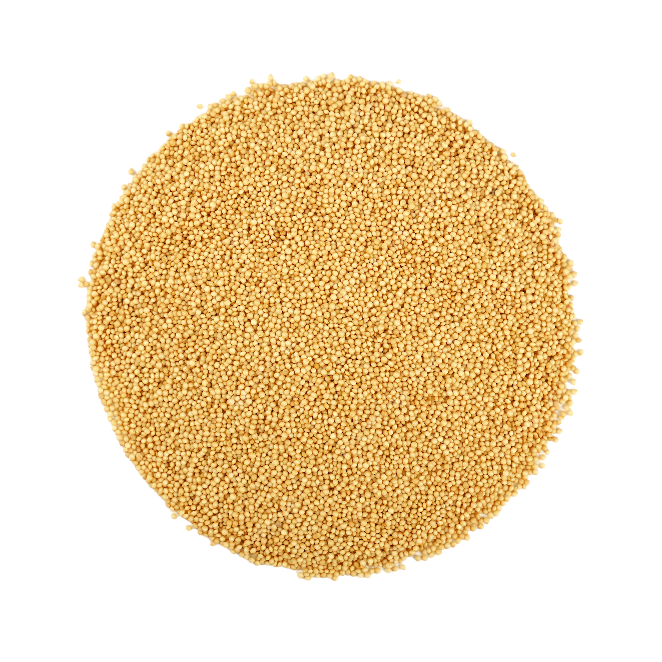 Mushk Budji Rice