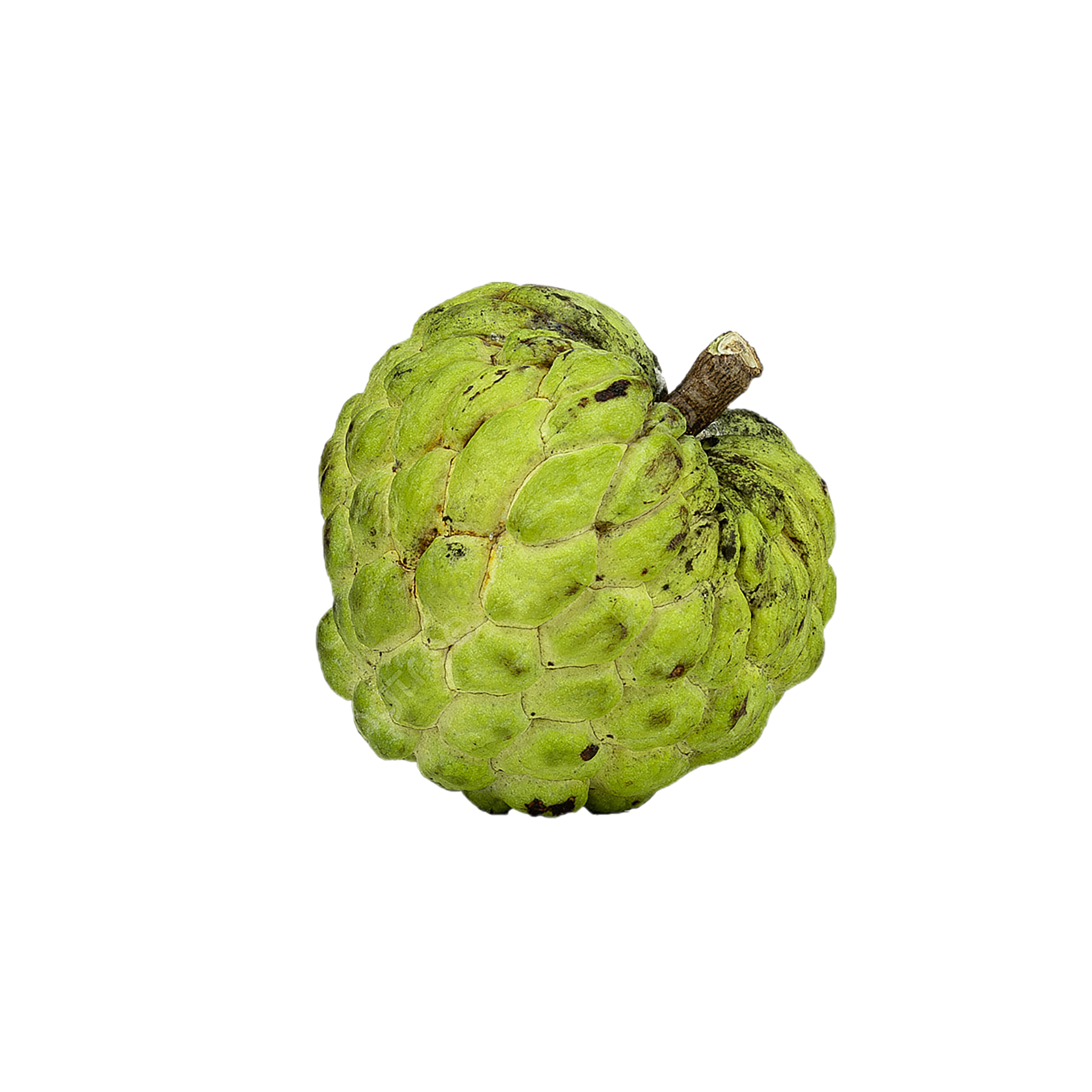Custard apple