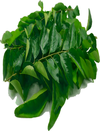Curry Leaves