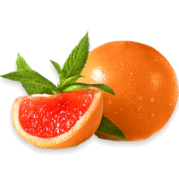 Grapefruit